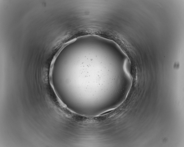 X0000091450696200709061735