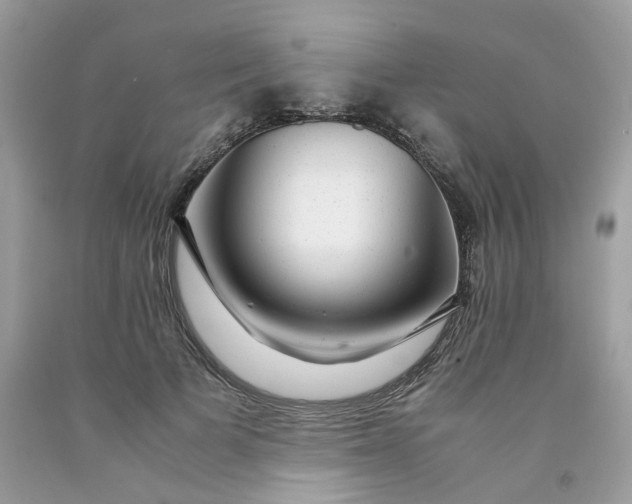 X0000091450697200709061735