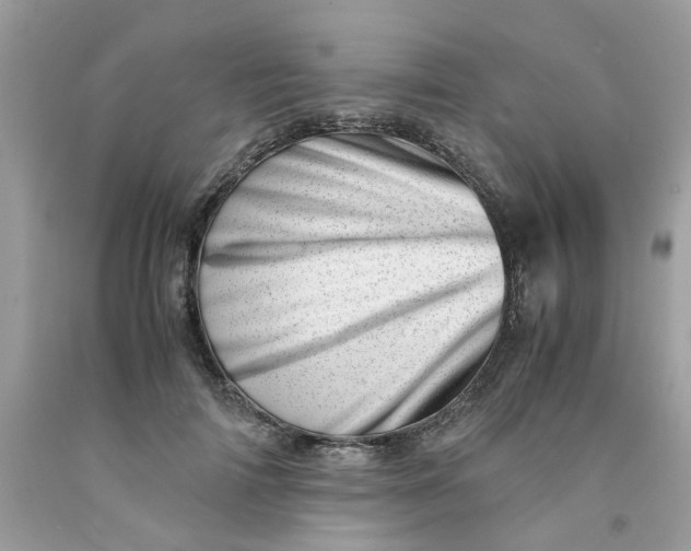 X0000091450698200709061735