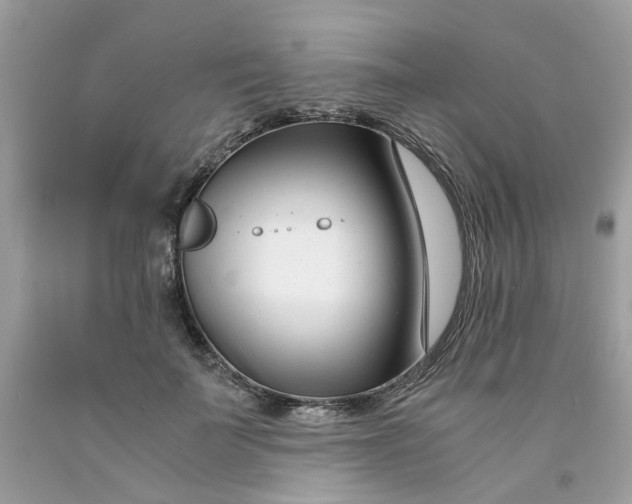 X0000091450699200709061735