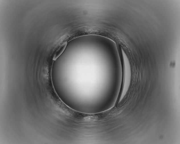 X0000091450700200709061735