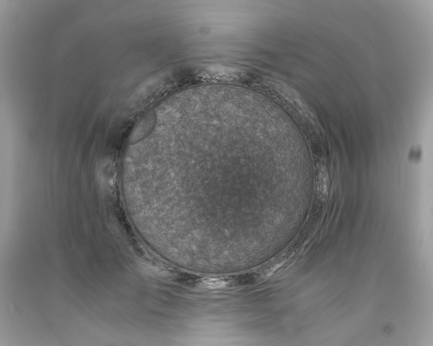 X0000091450701200709061735