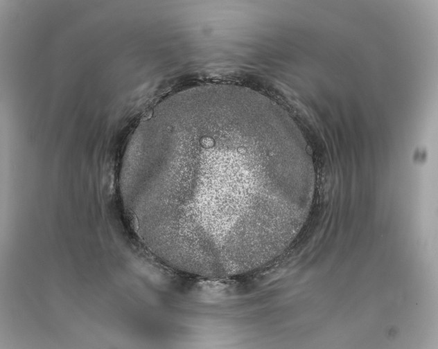 X0000091450703200709061735