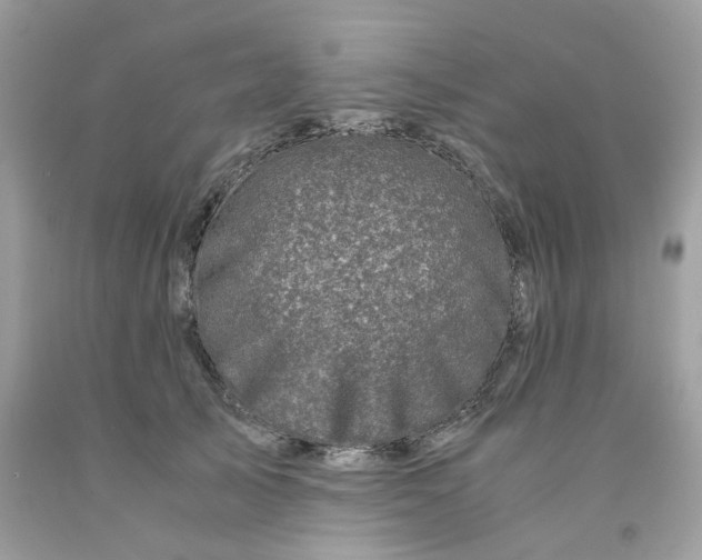 X0000091450705200709061735