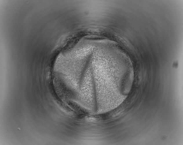 X0000091450706200709061735