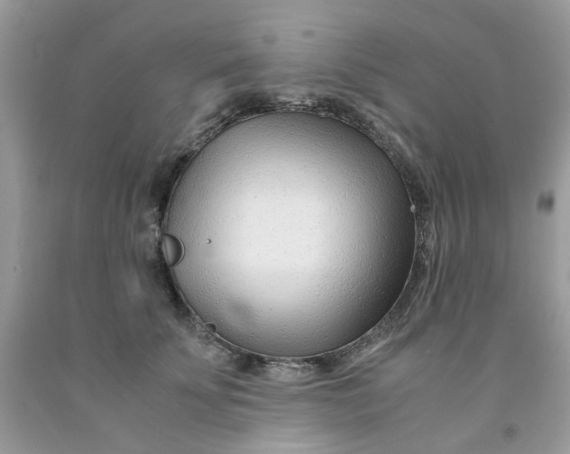 X0000091450707200709061735