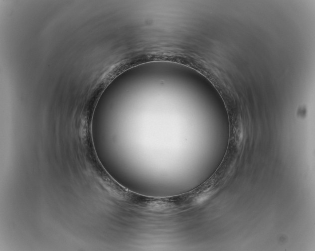 X0000091450708200709061735