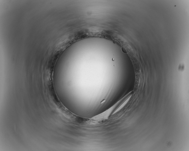 X0000091450711200709061735