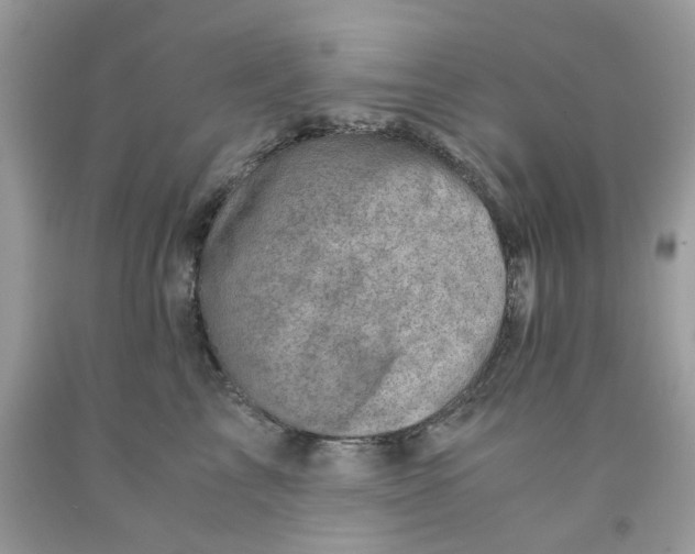 X0000091450713200709061735