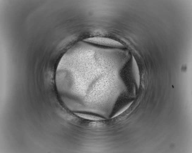 X0000091450714200709061735