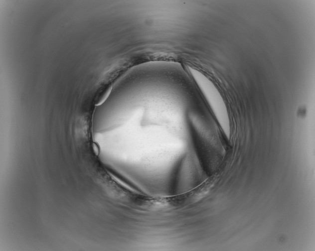 X0000091450715200709061735