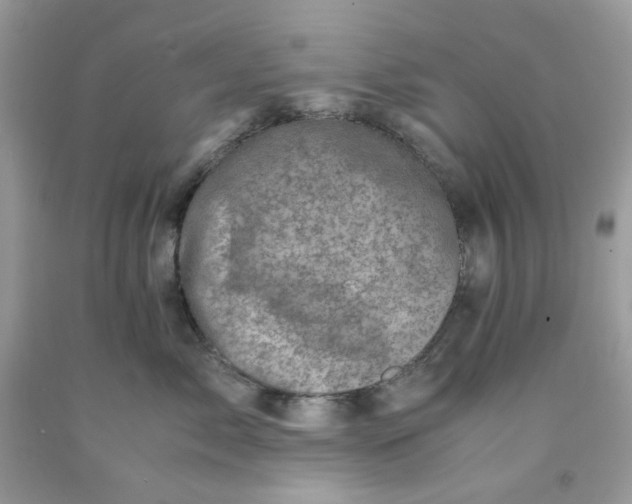 X0000091450717200709061735