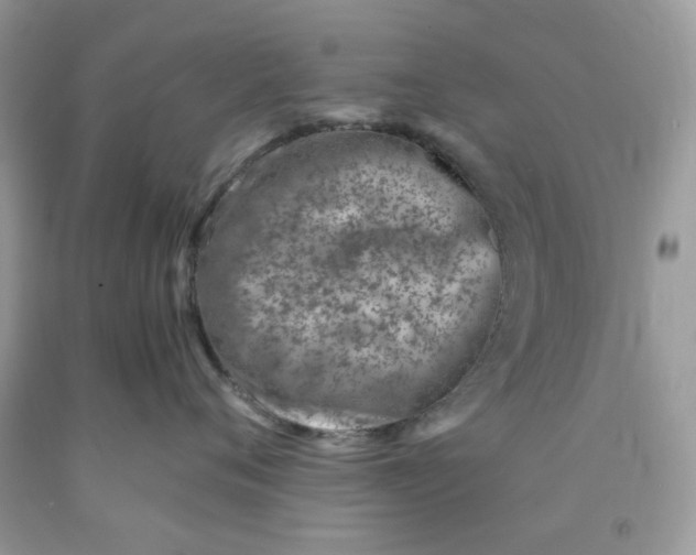 X0000091450720200709061735