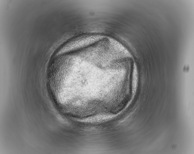 X0000091450721200709061734