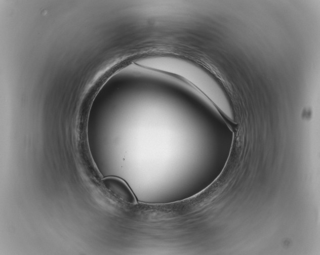 X0000091450722200709061734