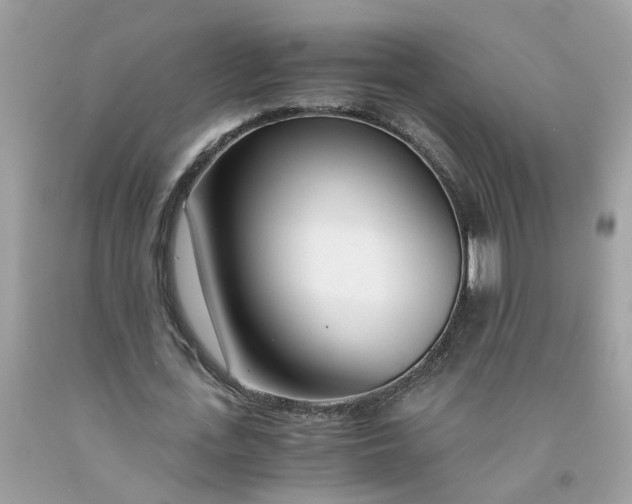 X0000091450723200709061734