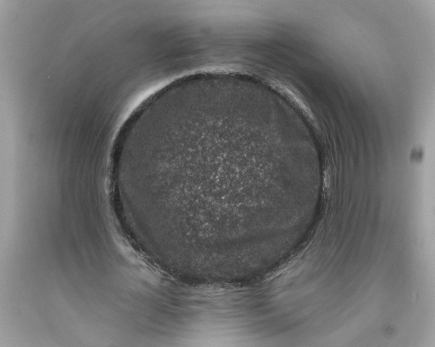 X0000091450724200709061734