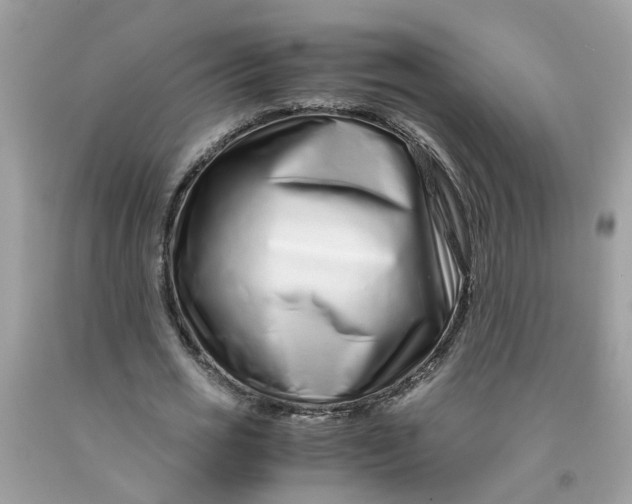 X0000091450725200709061734