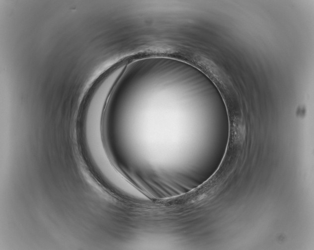 X0000091450726200709061734