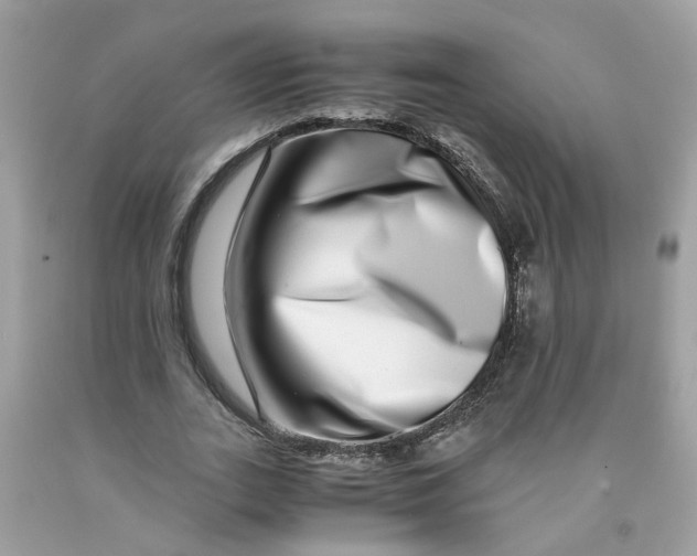 X0000091450727200709061734