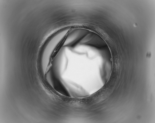 X0000091450728200709061734