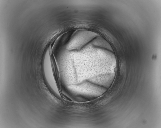 X0000091450729200709061734