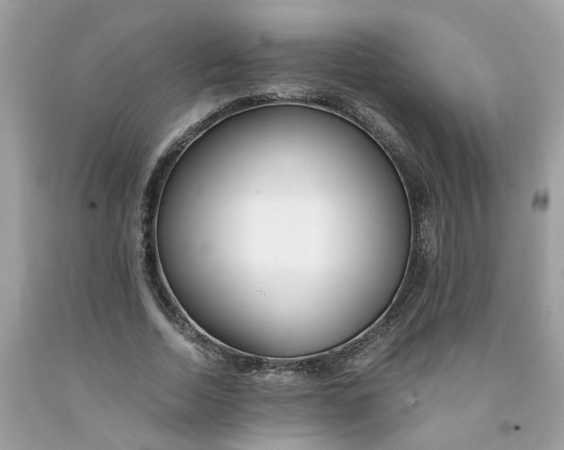 X0000091450730200709061734