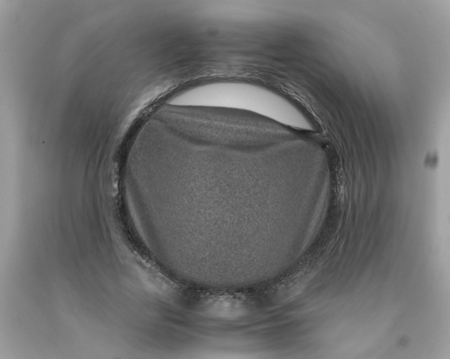 X0000091450731200709061734