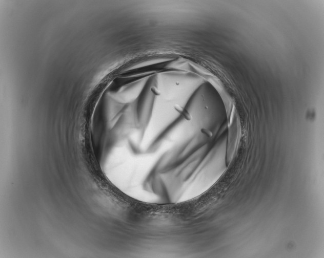 X0000091450732200709061734