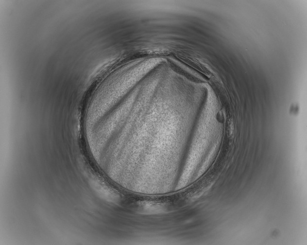 X0000091450733200709061734