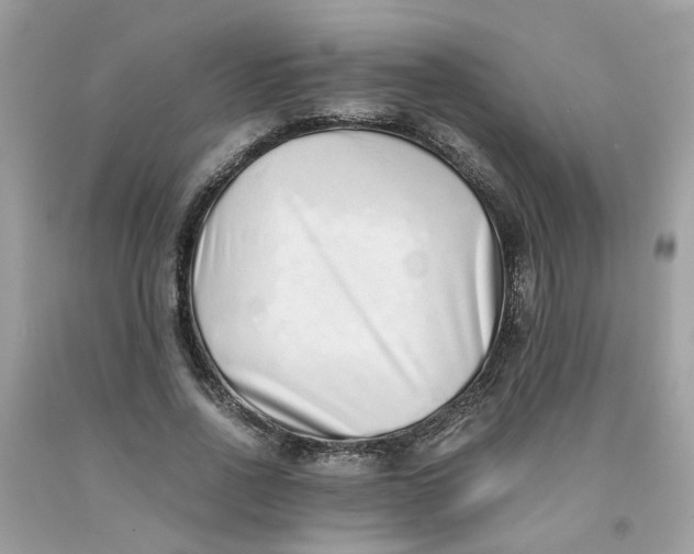 X0000091450734200709061734