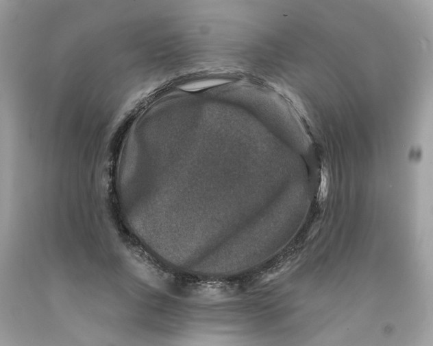 X0000091450736200709061734