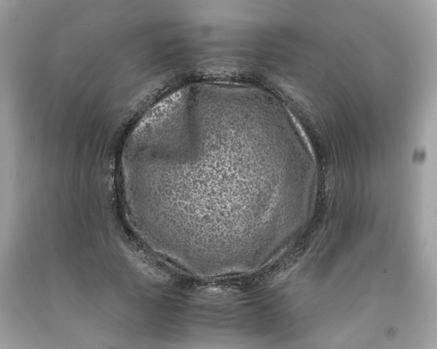 X0000091450737200709061734