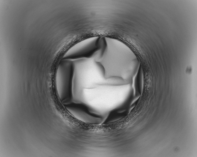 X0000091450738200709061734