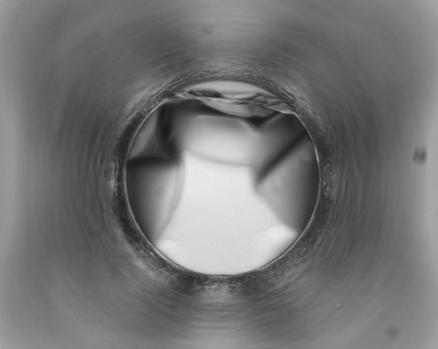 X0000091450740200709061734