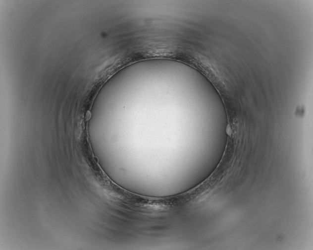 X0000091450741200709061734