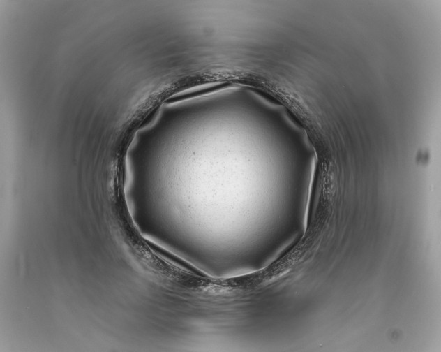 X0000091450742200709061734