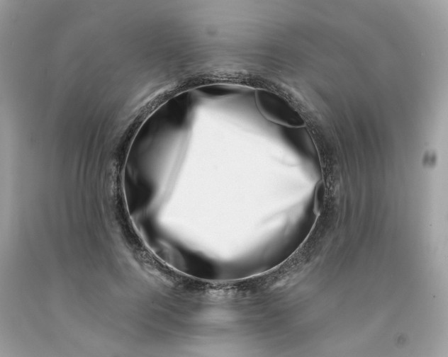 X0000091450744200709061735