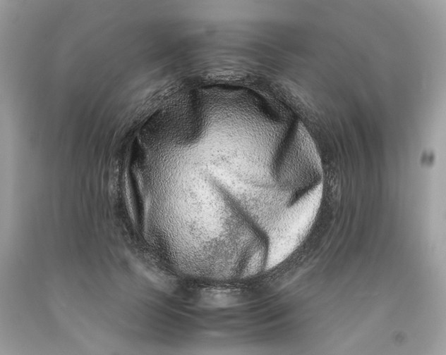 X0000091450745200709061735