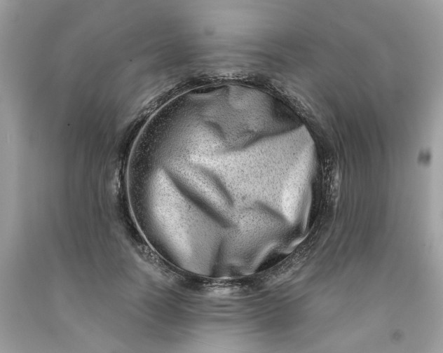 X0000091450746200709061735