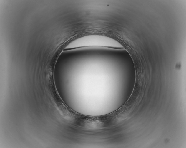 X0000091450747200709061735