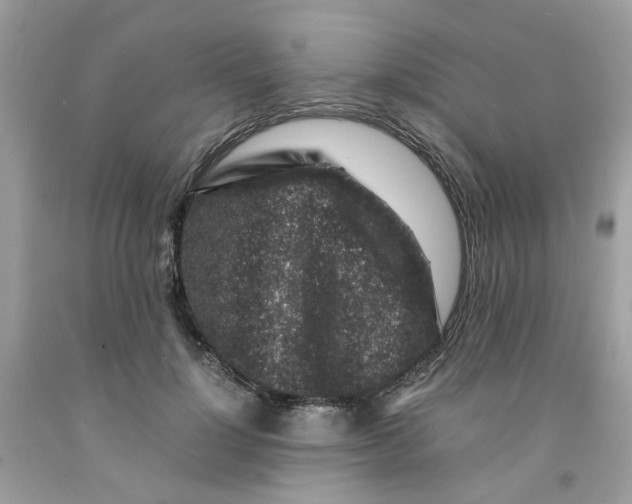 X0000091450748200709061735