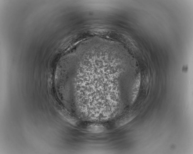 X0000091450749200709061735