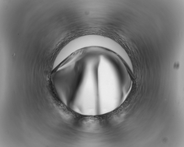 X0000091450750200709061735