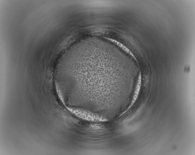 X0000091450753200709061735