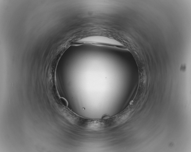 X0000091450754200709061735