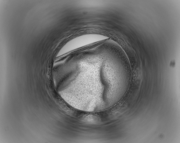 X0000091450755200709061735