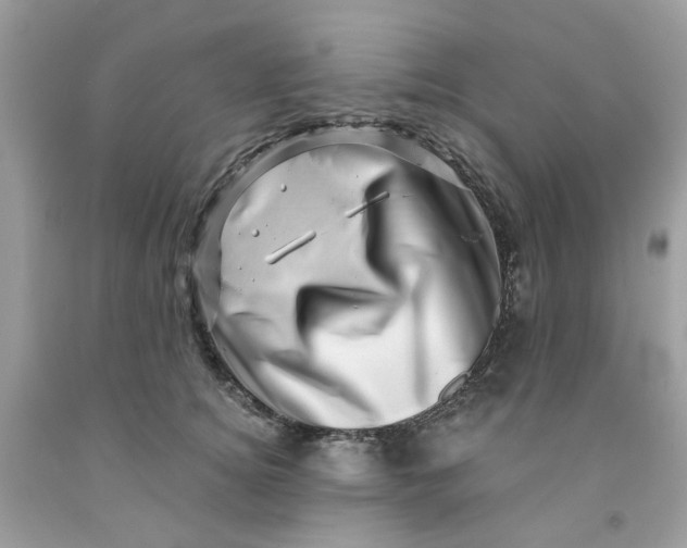 X0000091450756200709061735