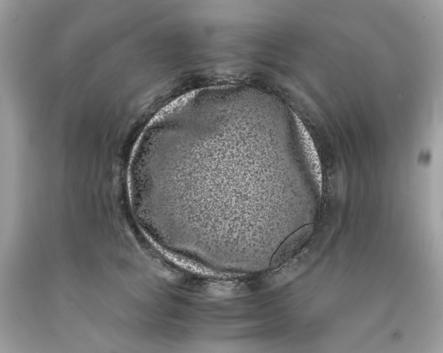 X0000091450757200709061735