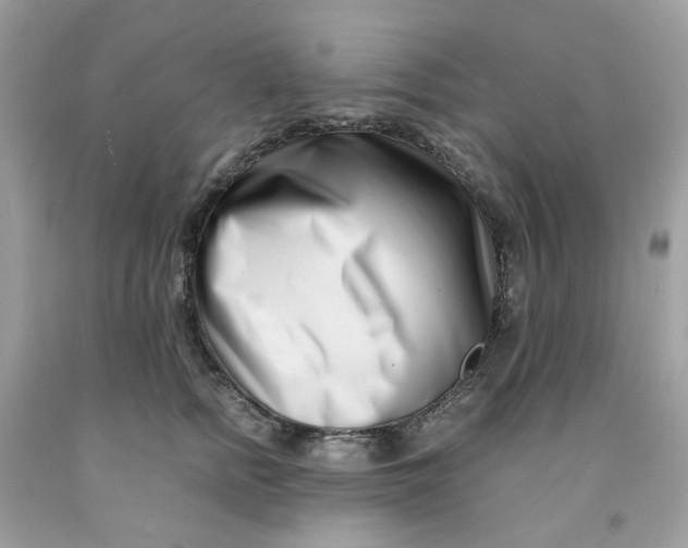 X0000091450758200709061735